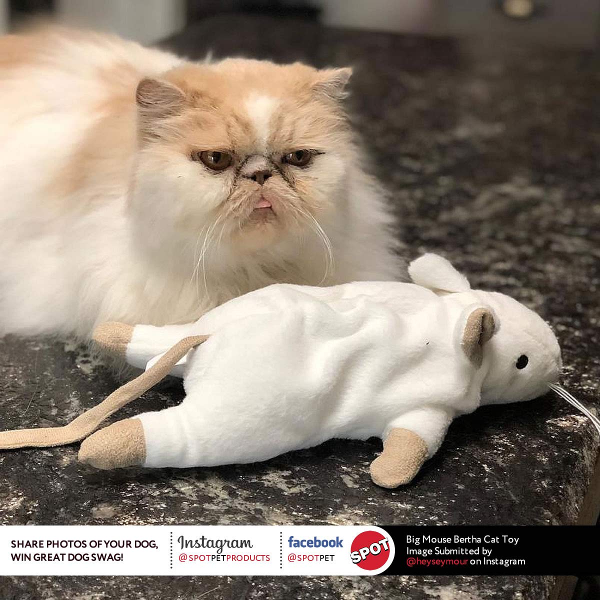SPOT Souris Bertha, style aléatoire livré pour surprise.