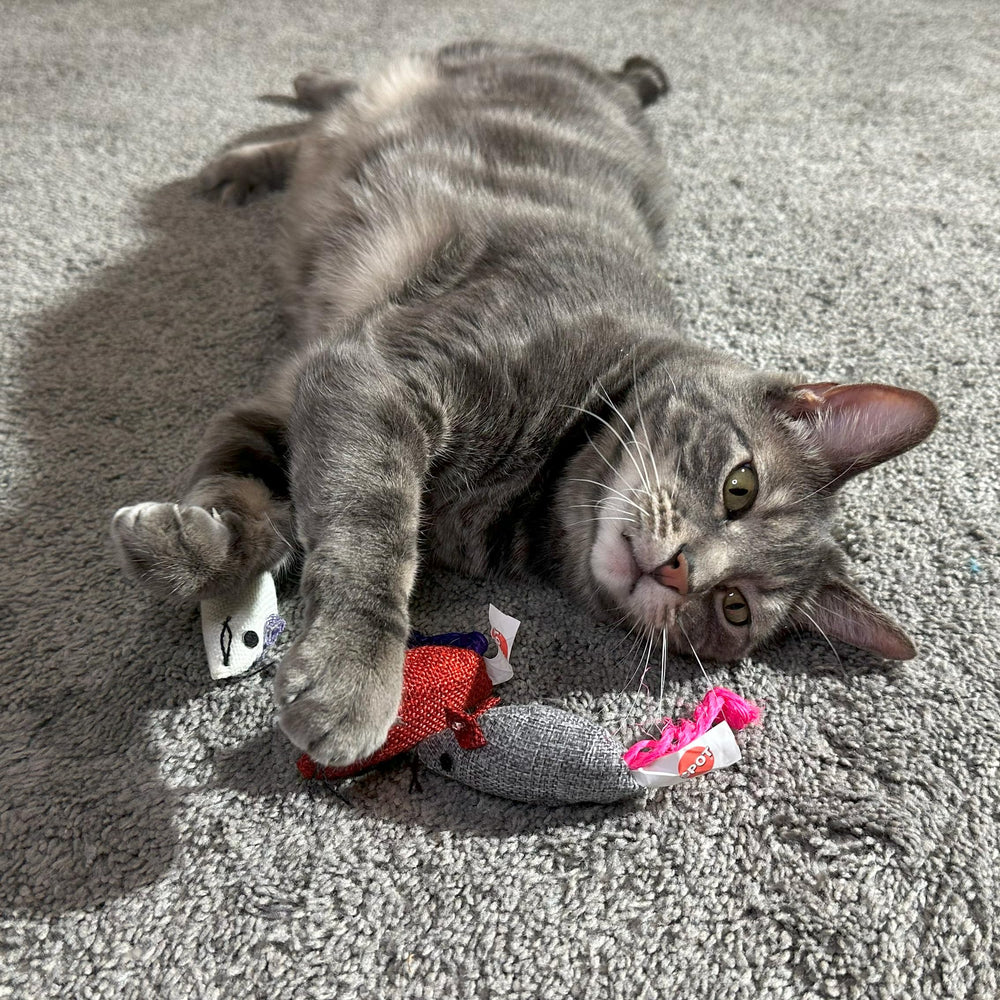 SPOT Souris en jute interactives durables résistent aux griffes.
