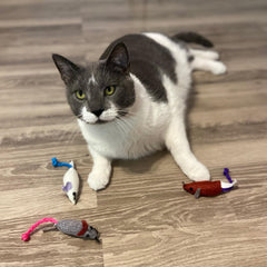 SPOT Souris en jute interactives verte déclenche l’instinct de chasse.