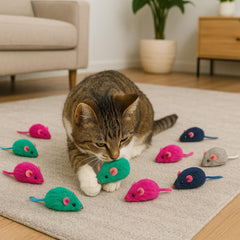 SPOT Souris peluche herbe chat arc-en-ciel, mouvement léger et plaisir pour chatons.