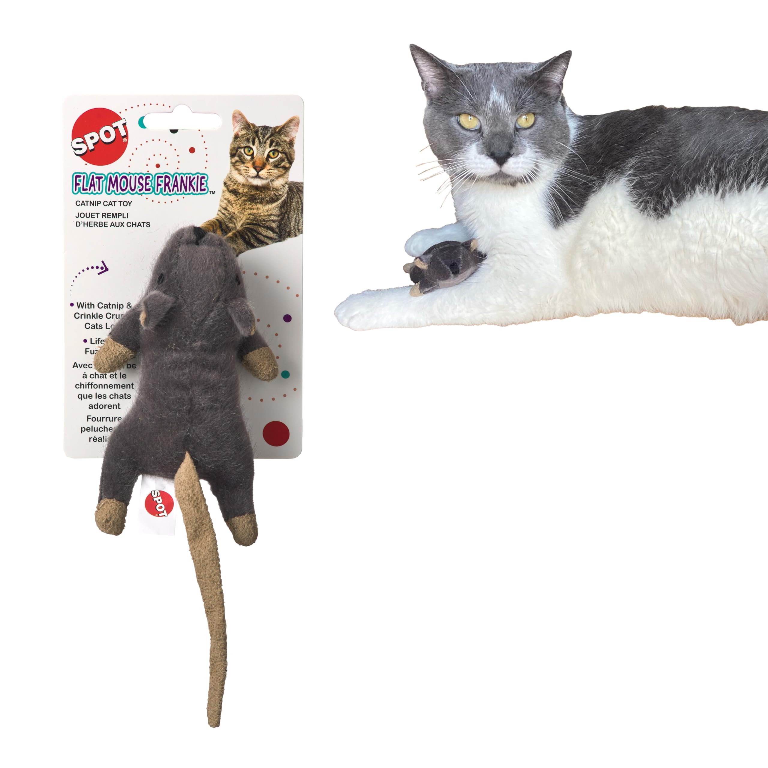 Souris Plate Frankie SPOT avec herbe à chat, peluche douce stimulant le jeu.