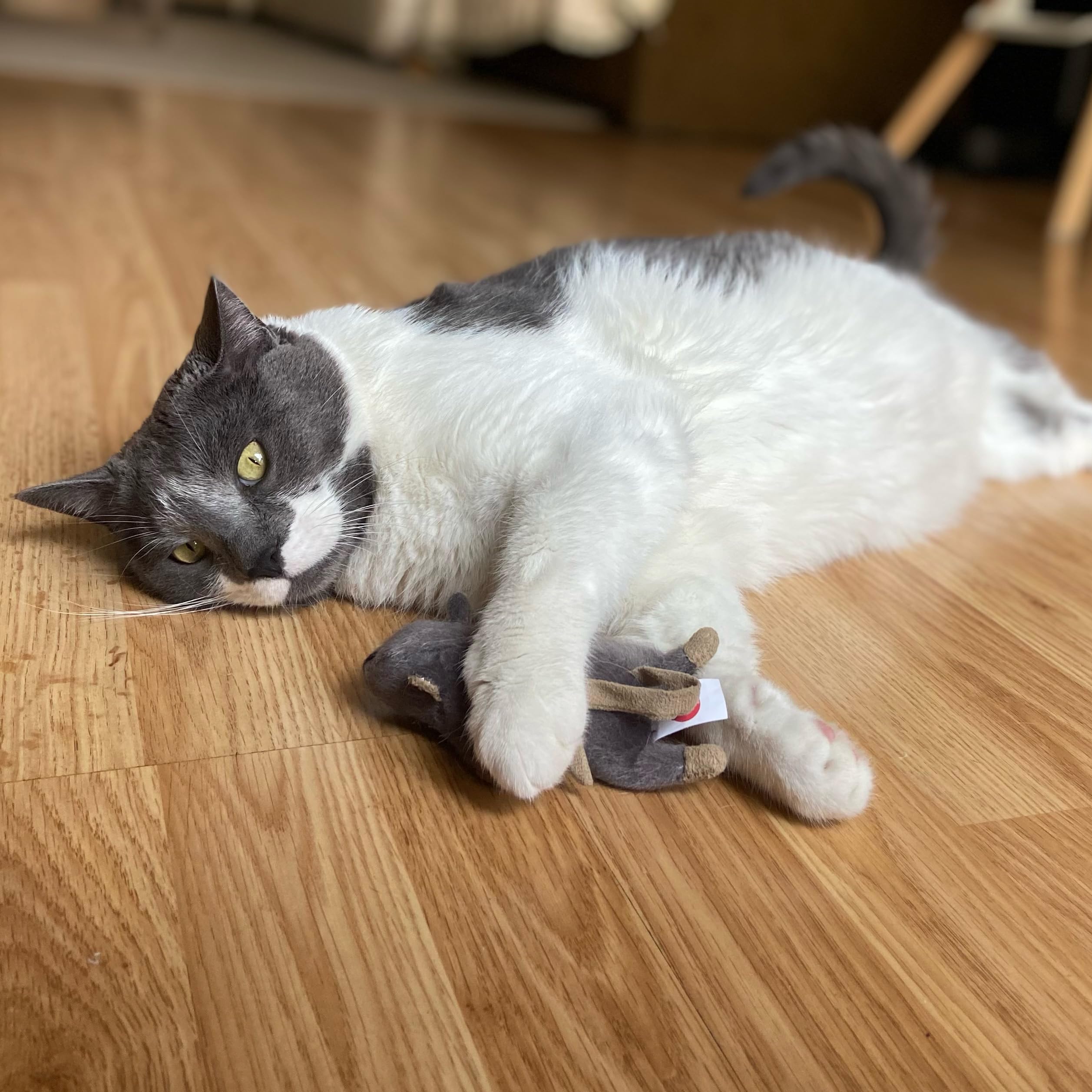 Souris Plate Frankie SPOT, sécurité et douceur pour jeux supervisés.