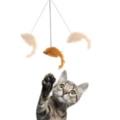 Souris remplie d’herbe à chat stimule le plaisir du jeu.