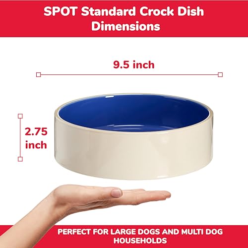 Bol SPOT Standard Crock Dish bord-haut, évite les éclaboussements lors des repas.