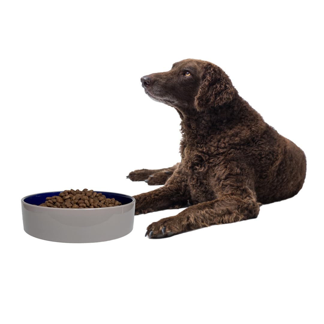 Bol SPOT Standard Crock Dish en grès durable, résistance au quotidien.