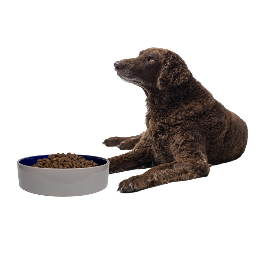 Bol SPOT Standard Crock Dish en grès durable, résistance au quotidien.
