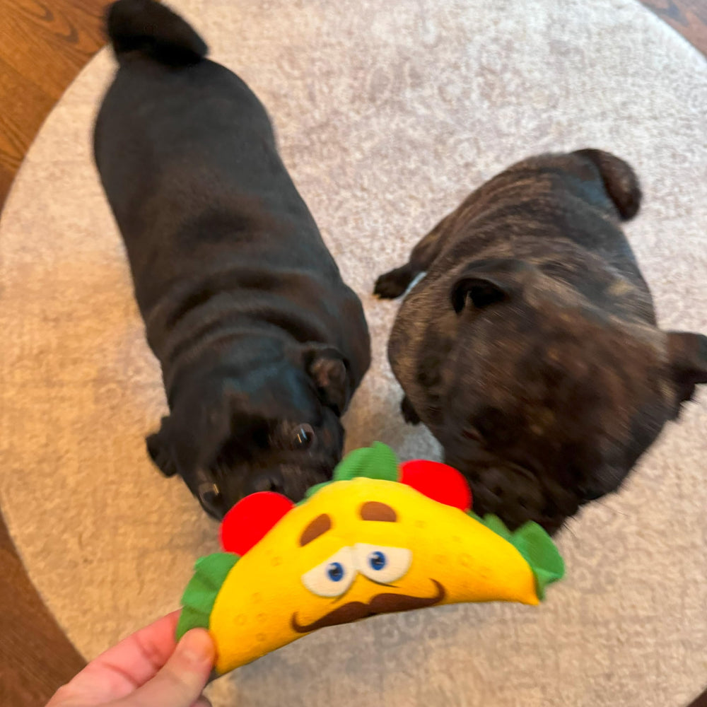 SPOT Taco Plaisir : peluche 6 pouces idéale pour petits chiens