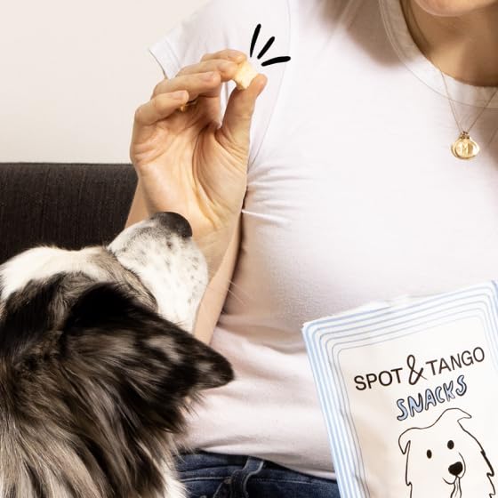 Spot & Tango Digestion facile poulet, option douce pour ventre sensible.