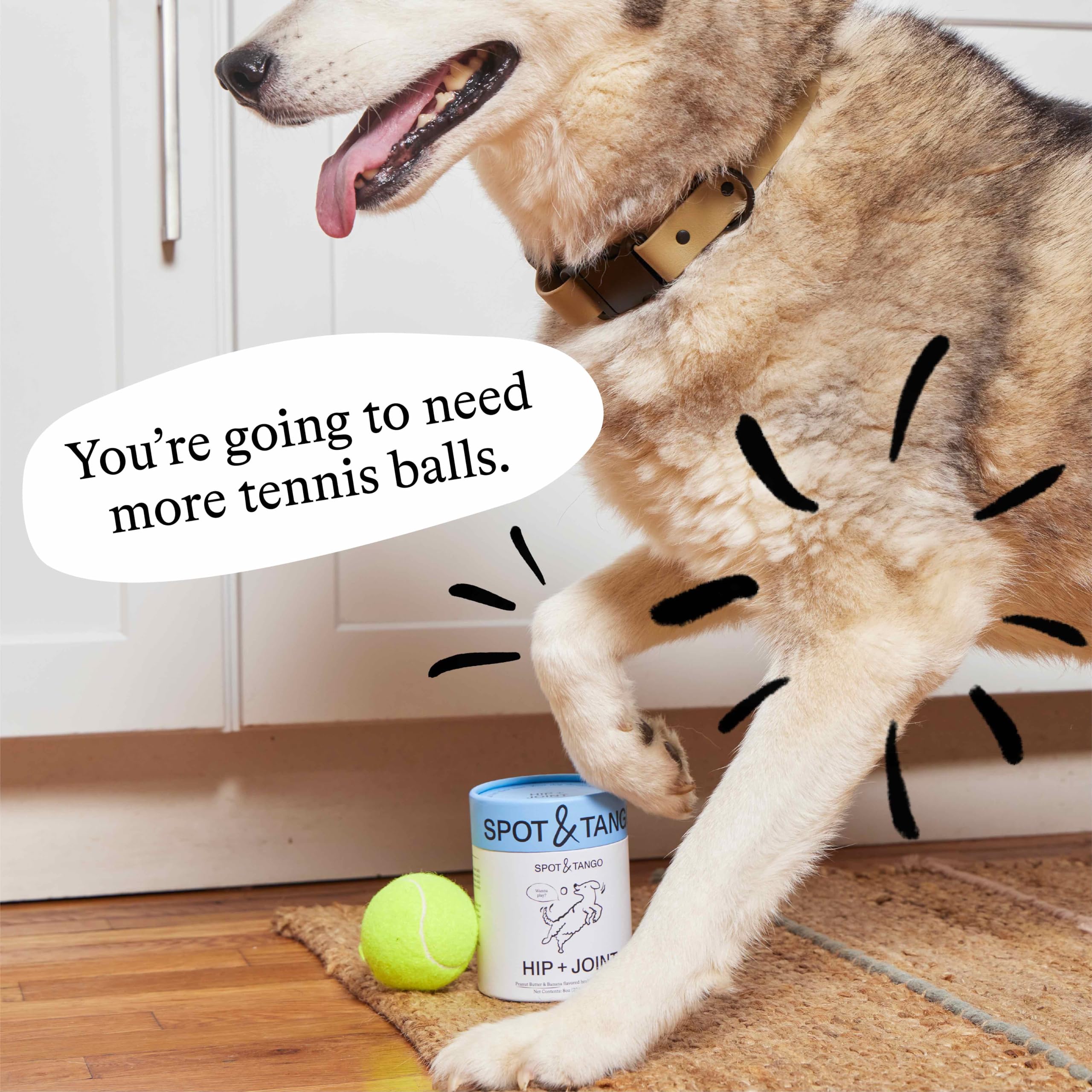 Spot & Tango utilisation quotidienne idéale pour chiens actifs ou seniors.