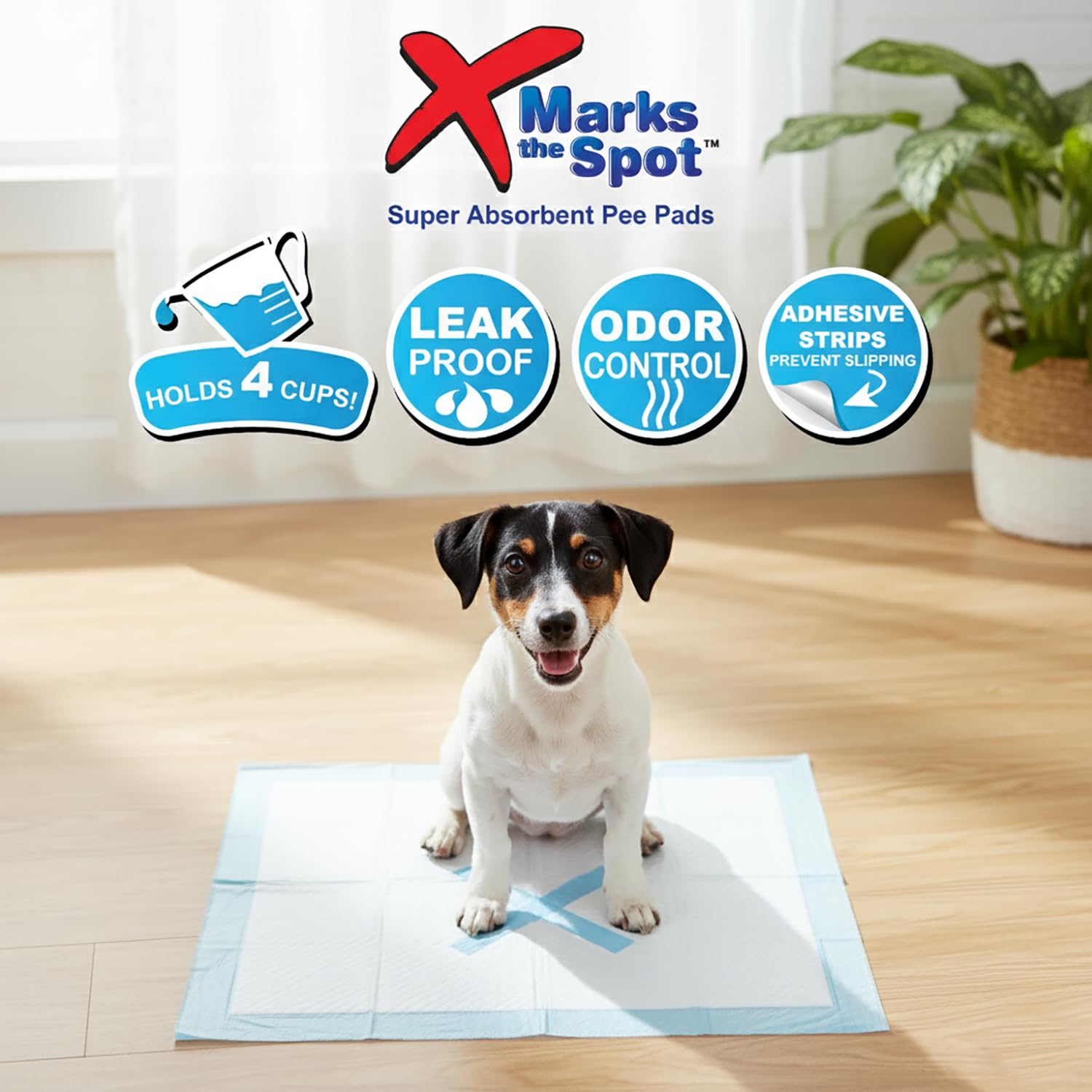 SPOT X Utilisation en caisse, voyage et maison.