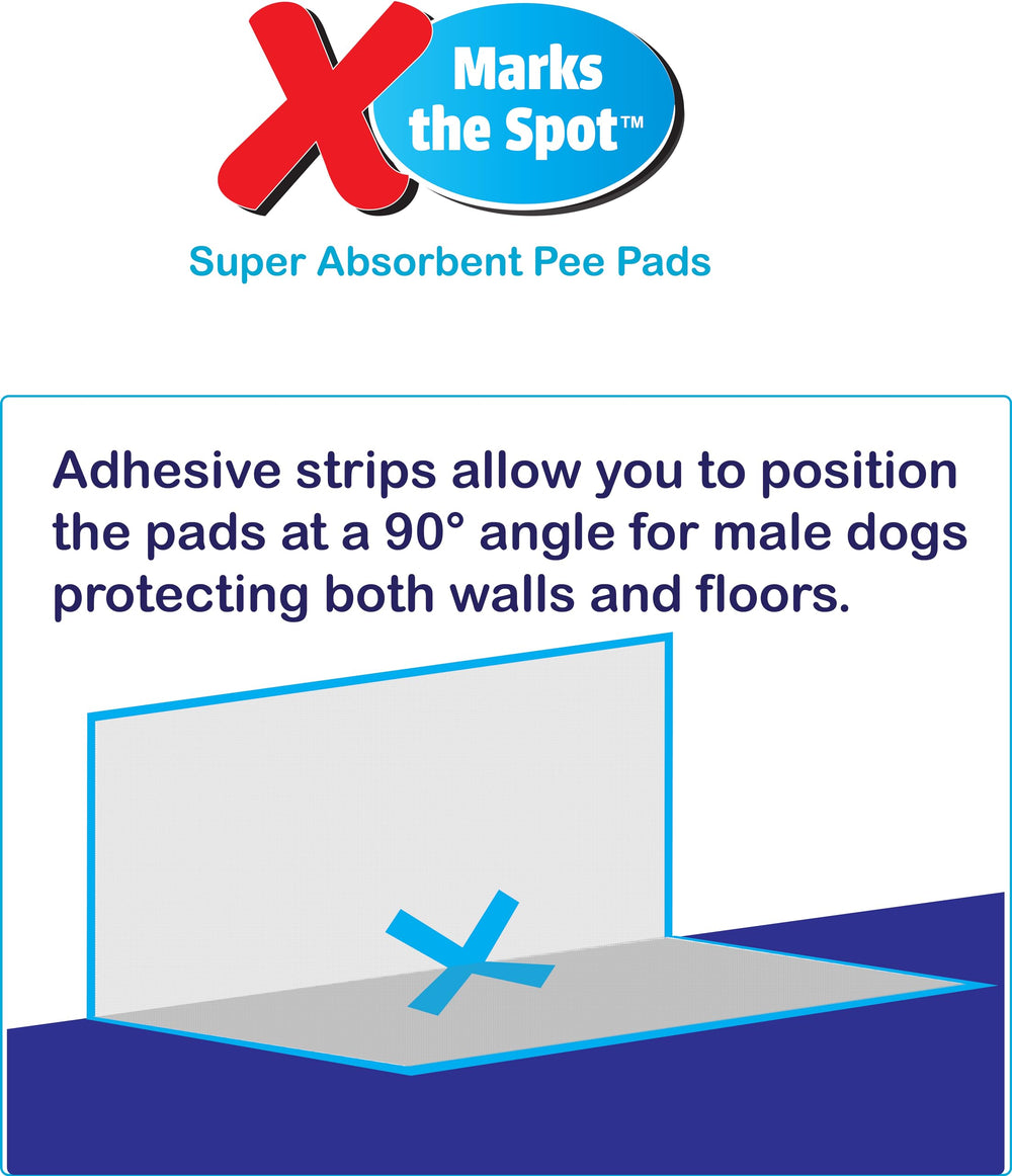 SPOT X Idéal pour chiots, seniors et déplacements.