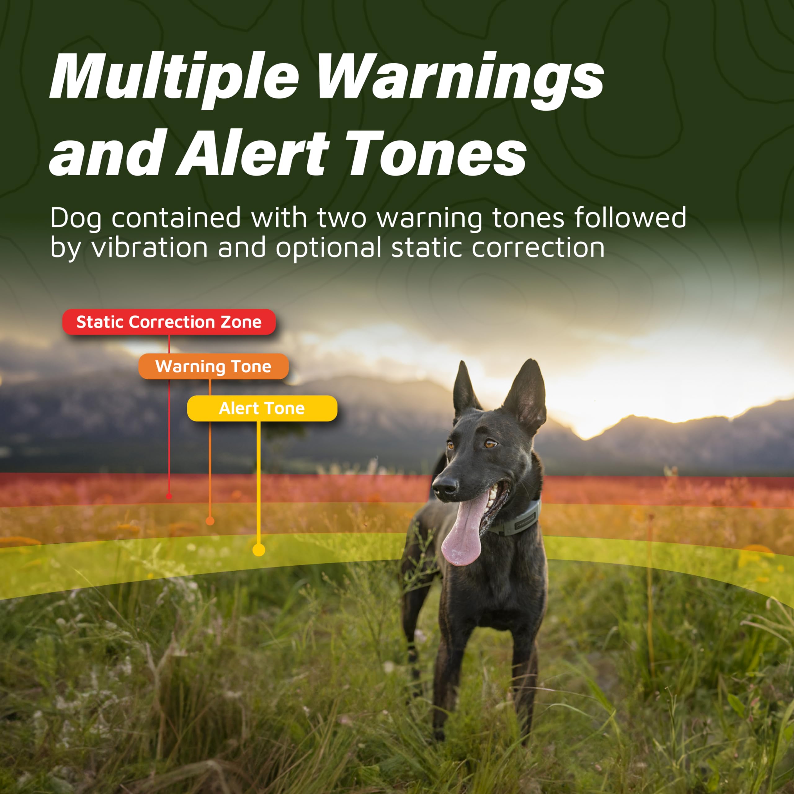SpotOn: coaching gratuit et entraînement pour familiariser le chien avec les alertes.