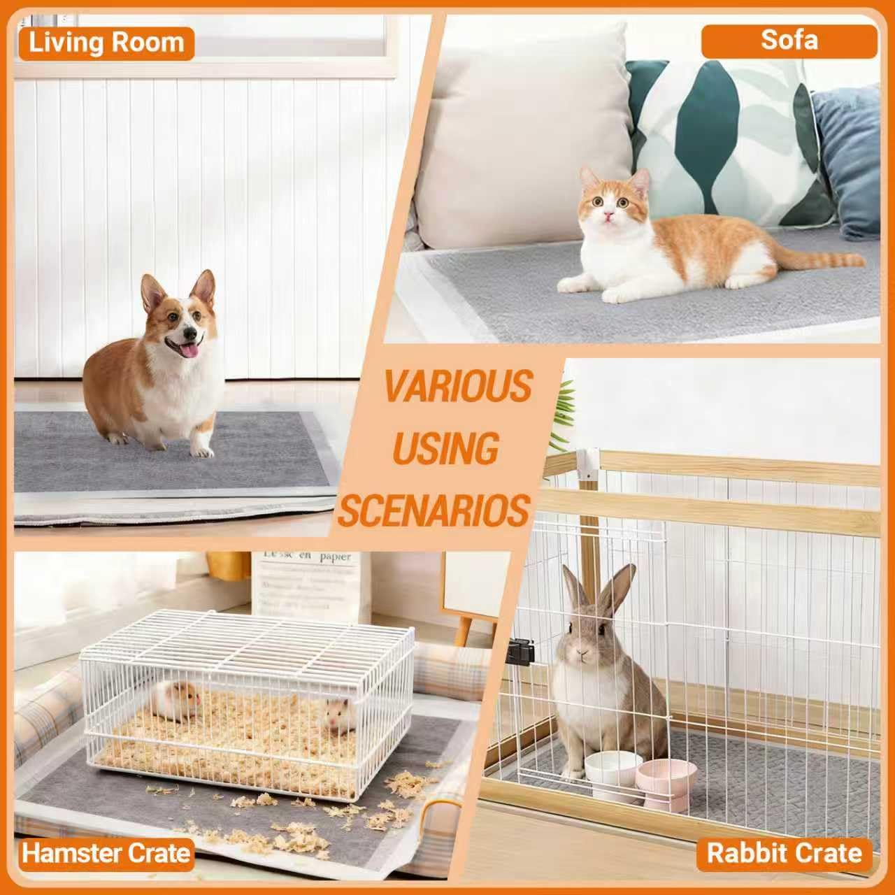 Sprbriolsm utilisation quotidienne idéale pour chiots et petits chiens.
