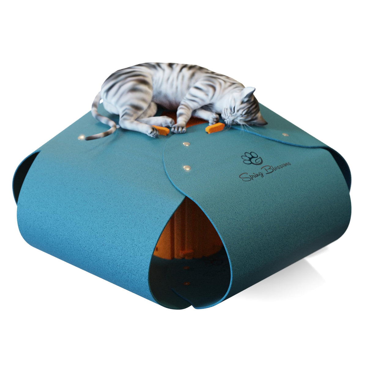 Spring Blossoms tunnel-chat-bleu-paon: parfait pour l'exploration et le jeu ludique