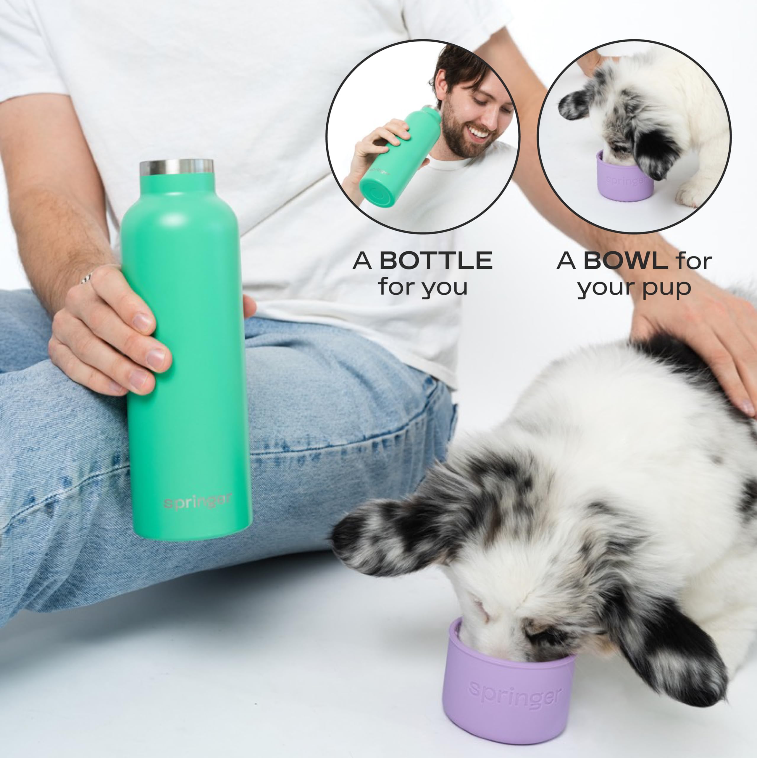 Springer : bol d'eau intégré pour chien, pratique en déplacement.