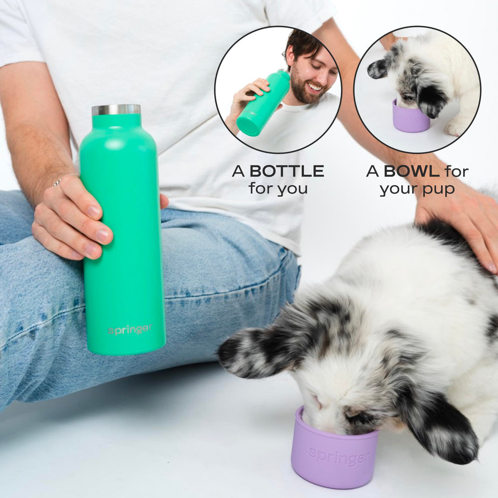 Springer : bol d'eau intégré pour chien, pratique en déplacement.