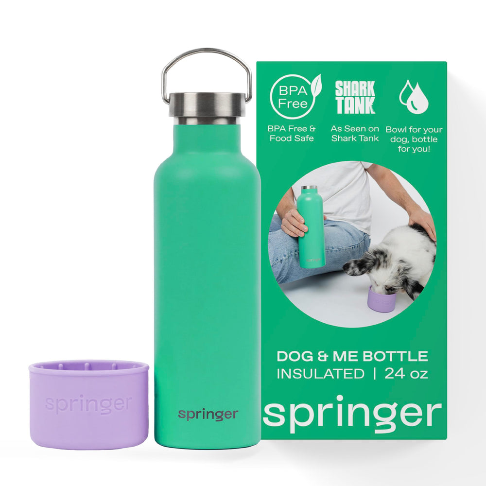 Springer : bouteille d'eau 24 oz isotherme, idéale pour les randonnées.