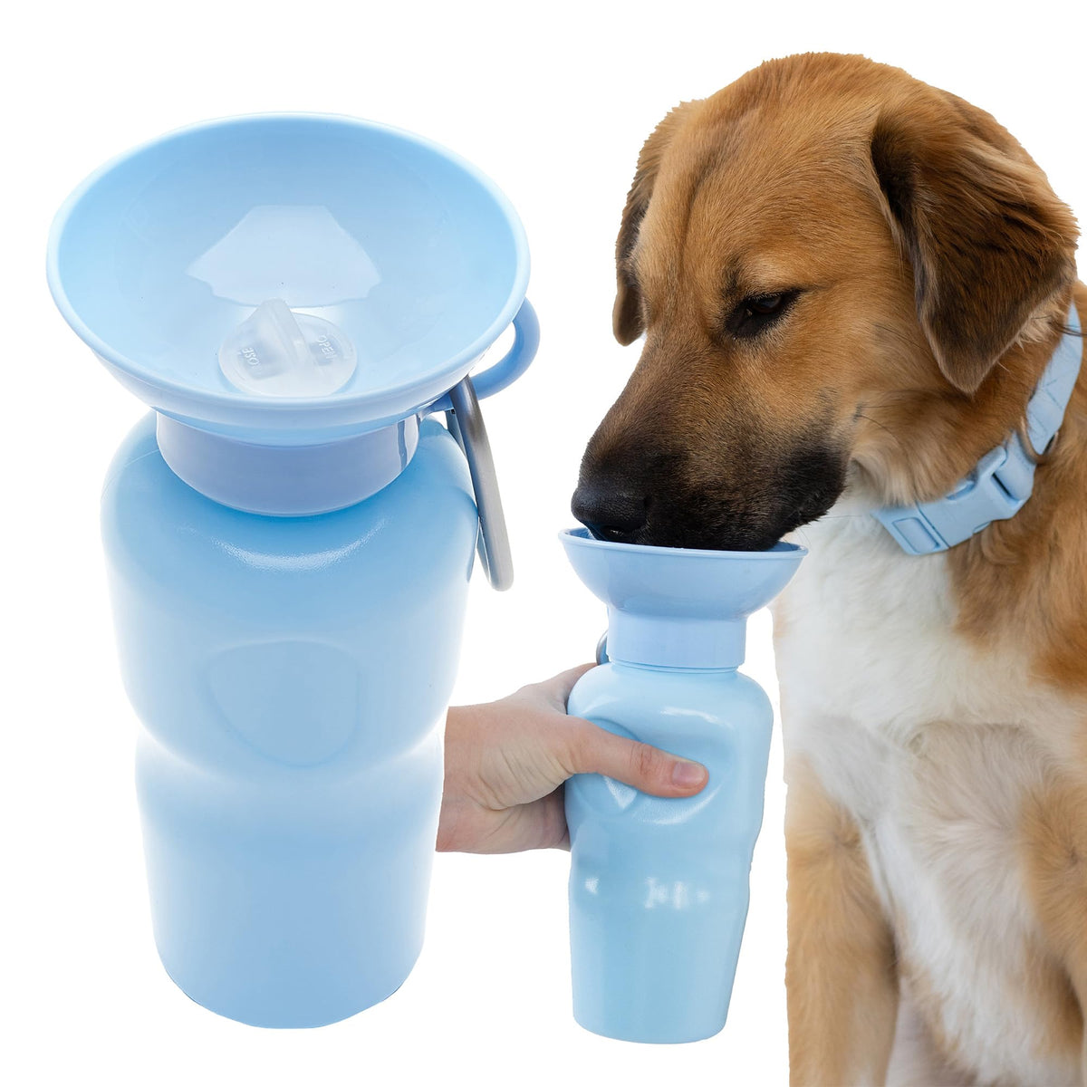 Gourde Springer pour chien bleu ouverte, pratique lors des sorties.