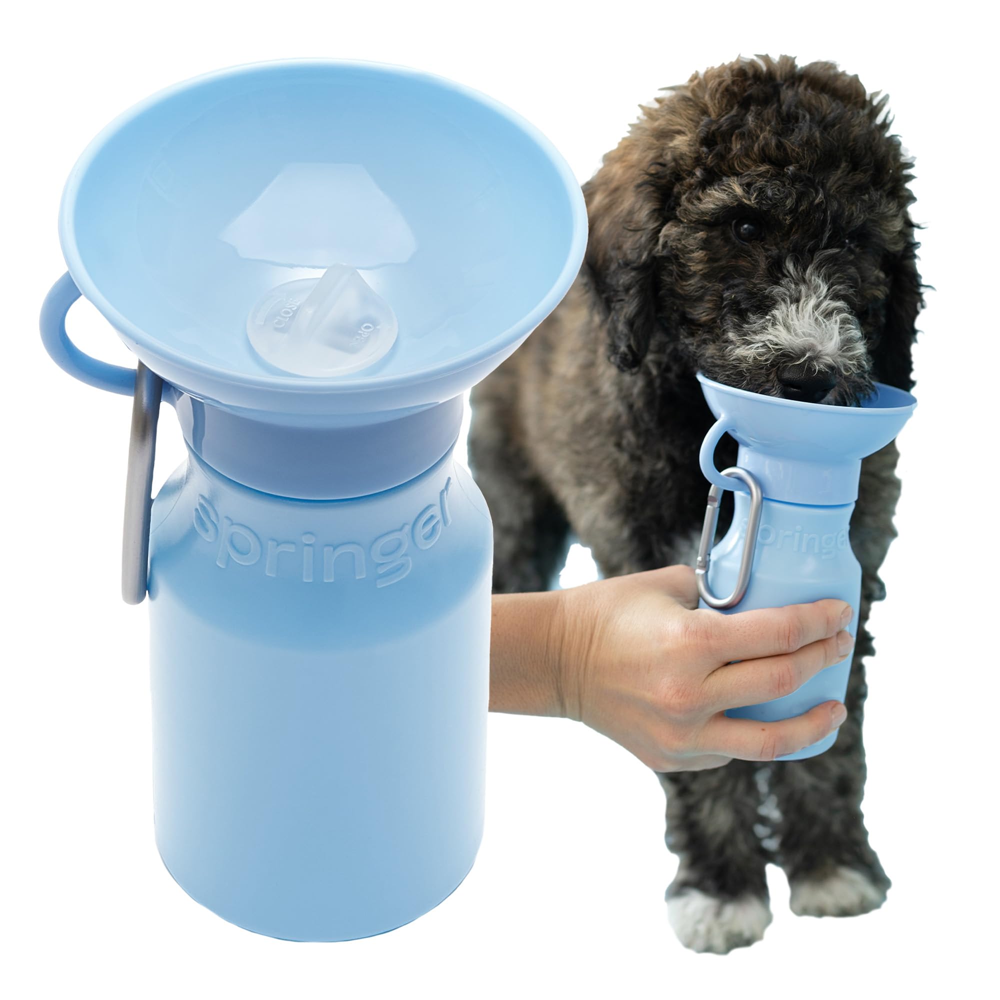 Bouteille Springer bleue pour chien, hydratation facile.