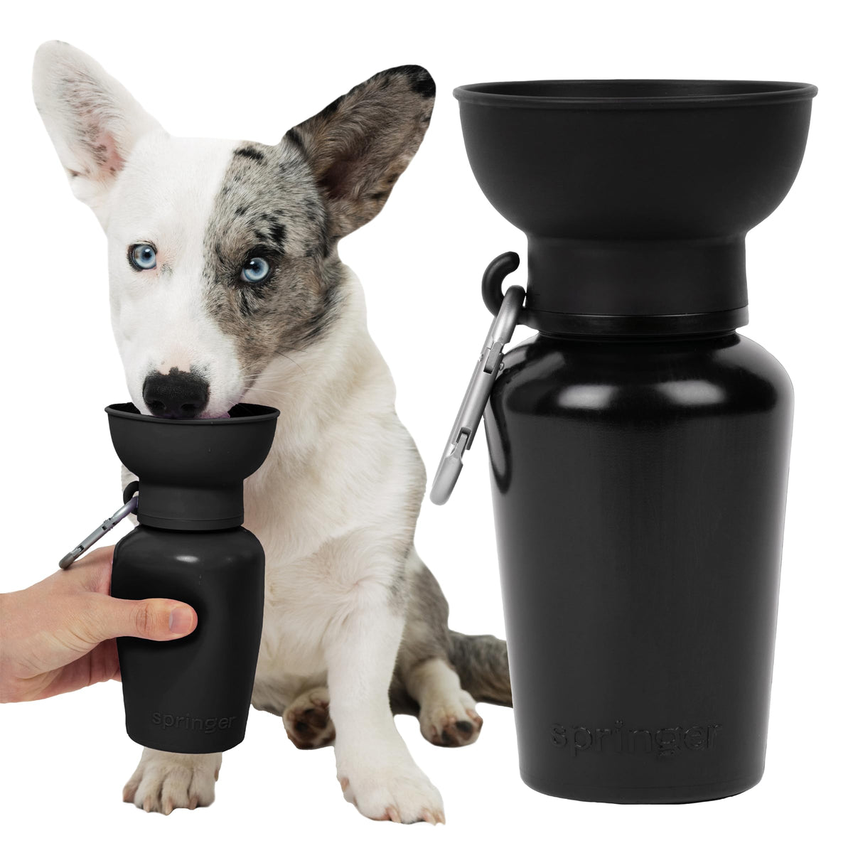 Springer, gourde d'eau pour chien pliable, pratique en balade et voyage.