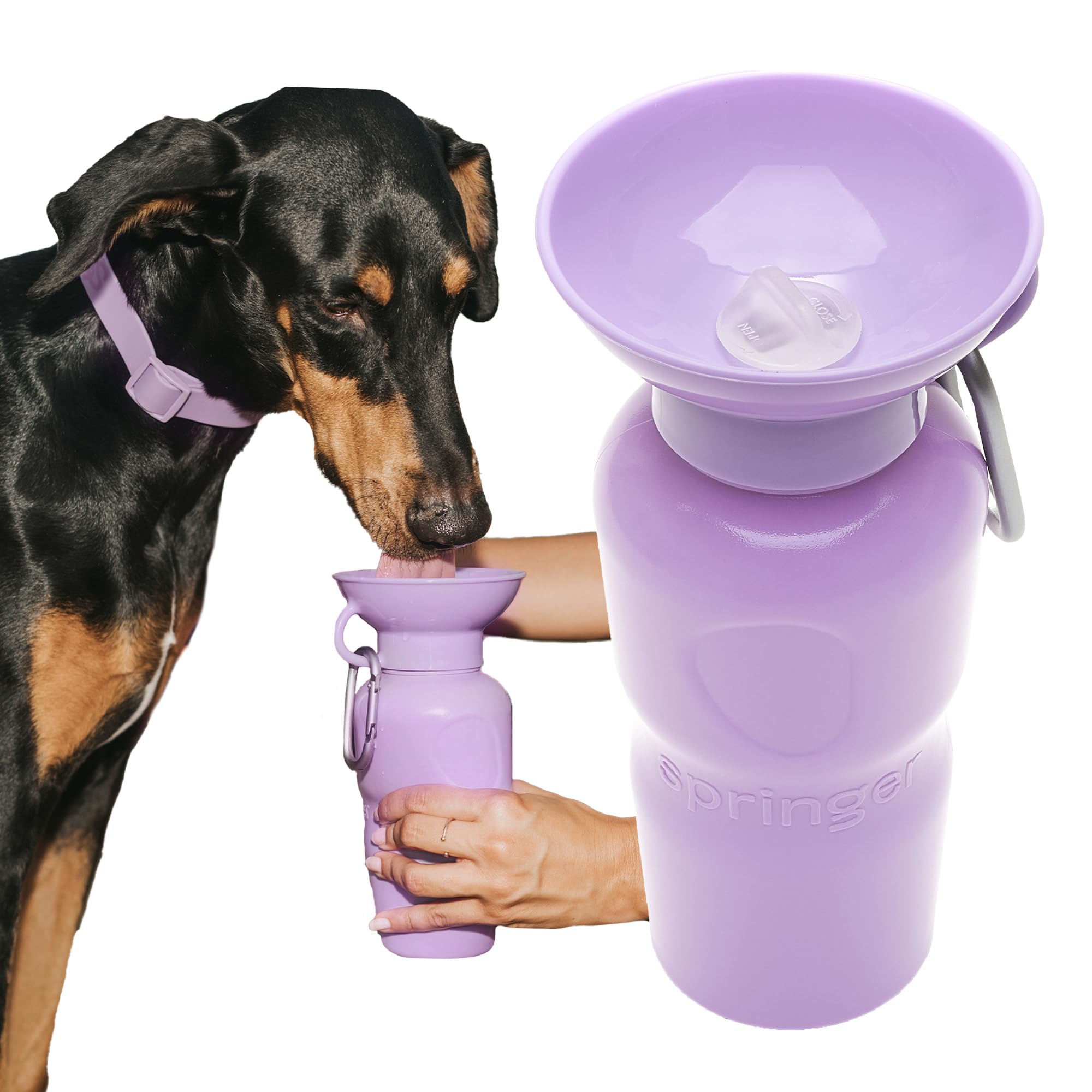 Springer: bouteille d’eau chien portable 22 oz pour les sorties.