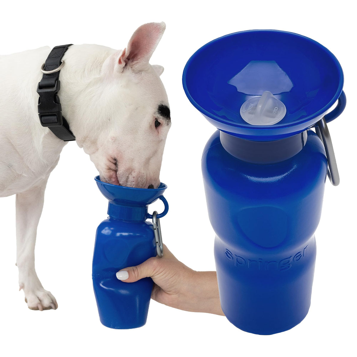 Bouteille Springer pour chien portable, pratique lors des promenades et sorties.