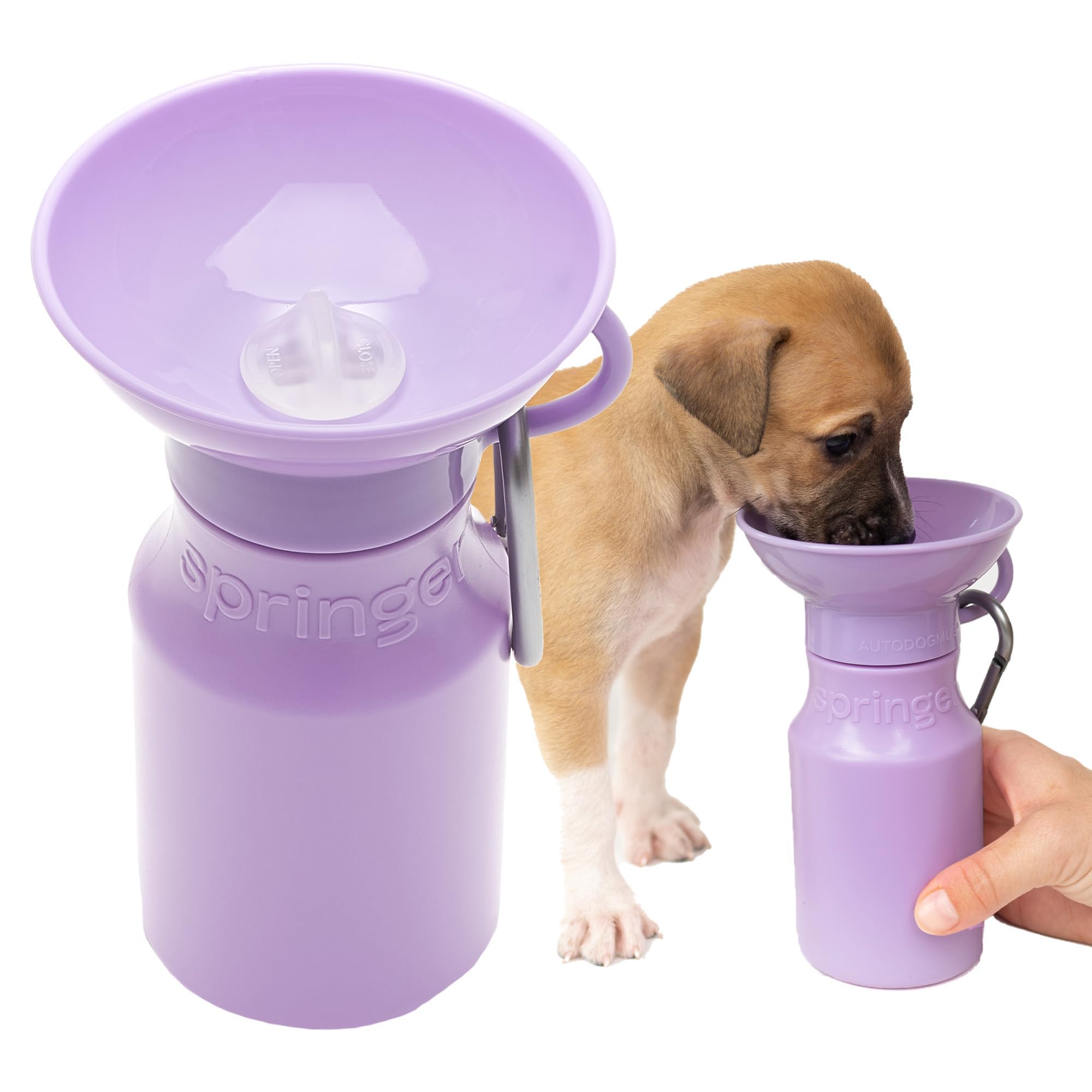 Springer bouteille eau chien portable: hydratation pratique lors de vos promenades.
