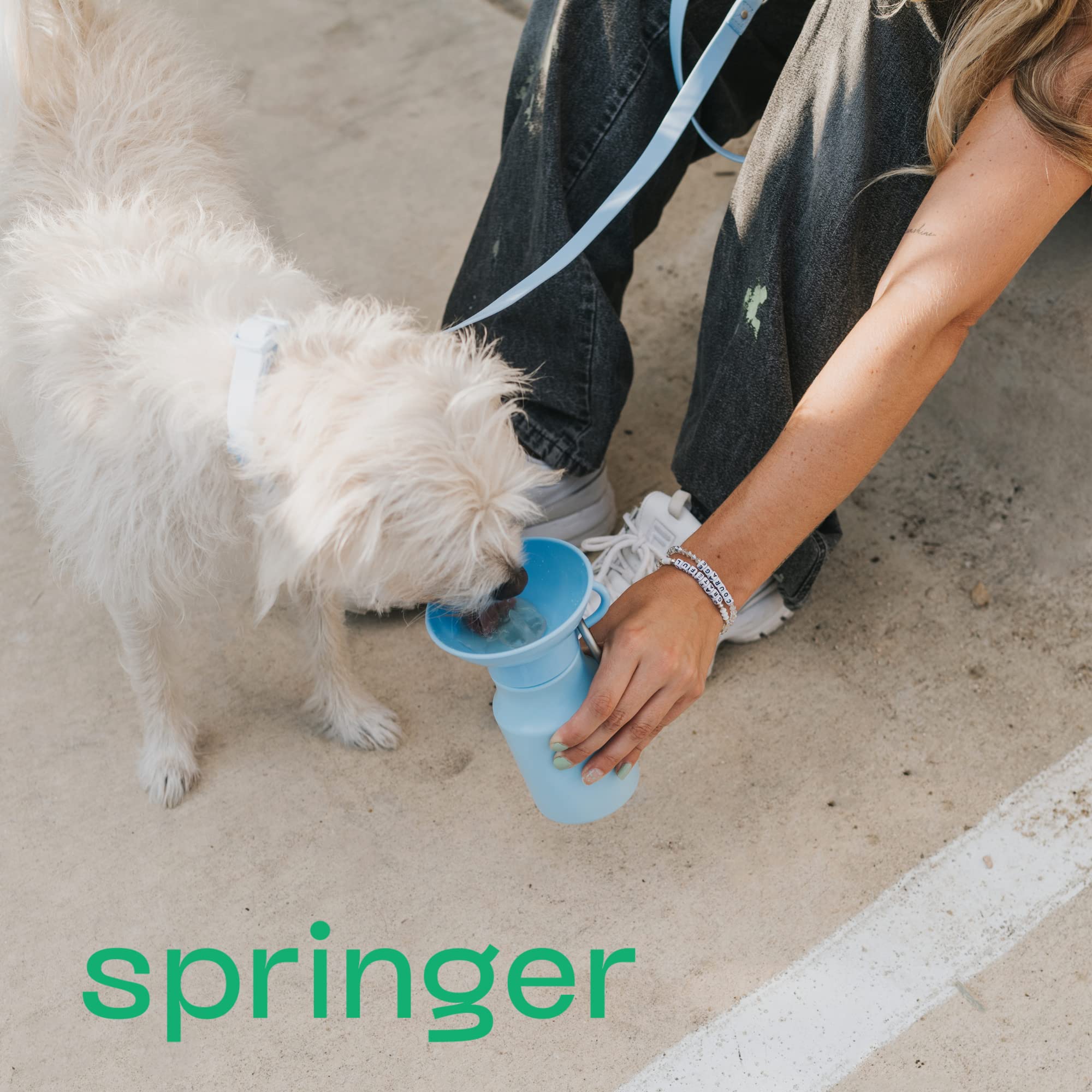 Sans BPA: Springer sûre pour l’hydratation de votre chien.