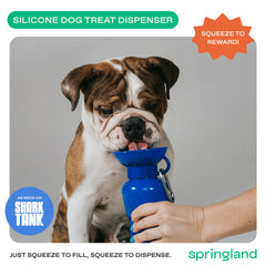 Springer, bouteille pour chien sans fuite, idéale pour les sorties quotidiennes.