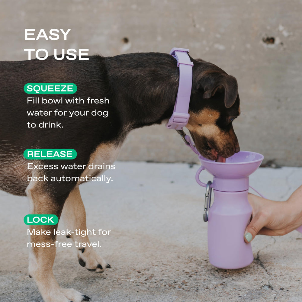 Springer bouteille eau chien valve antifuite: évite les fuites lors du rangement.