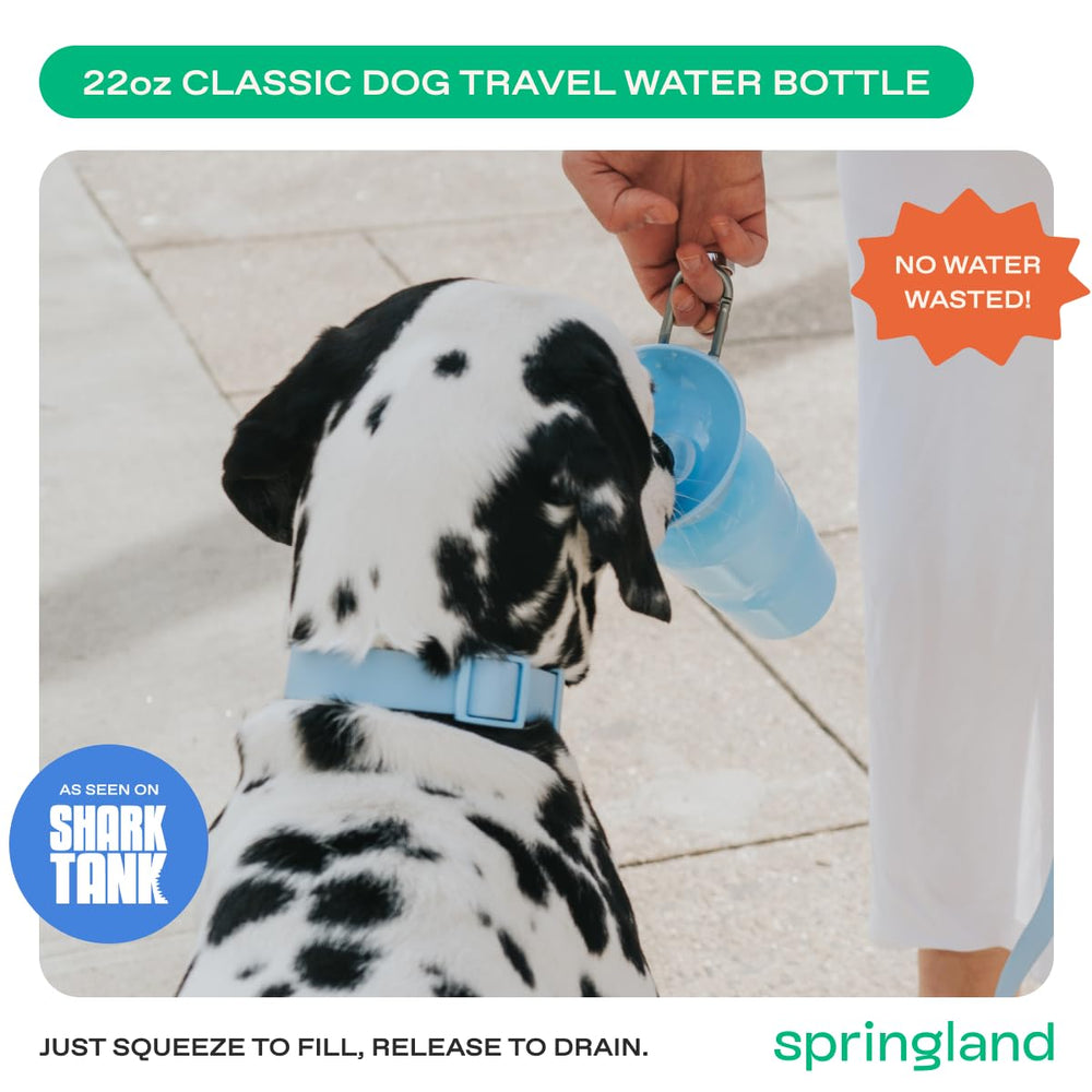 Valve étanche de la gourde Springer pour chien, anti-fuite.