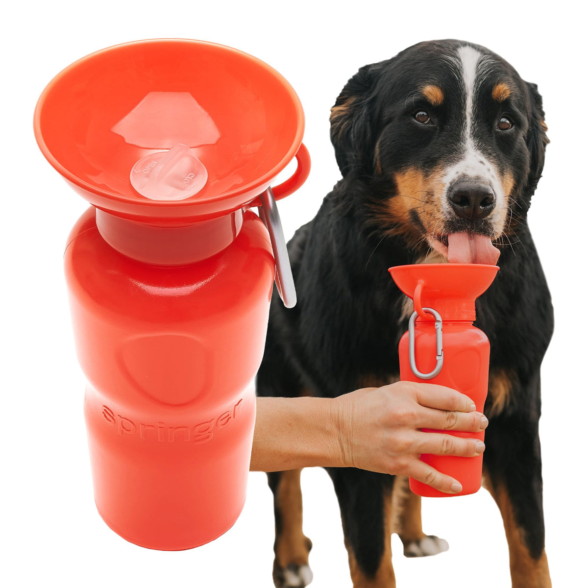 Springer bouteille chien 22oz ouverte, pratique pour distribuer l'eau rapidement