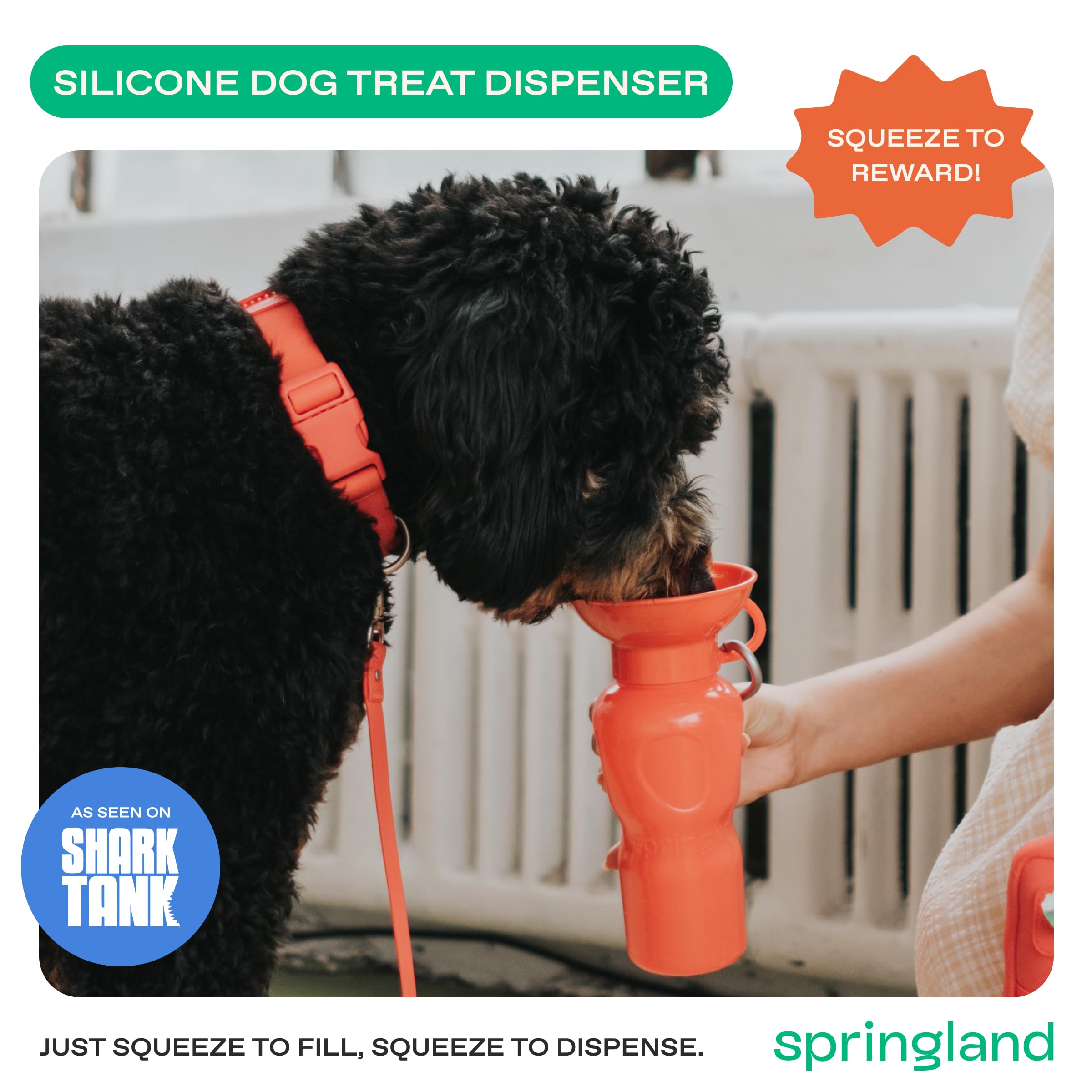 Springer bouteille chien sans fuite, idéale pour trajets en voiture