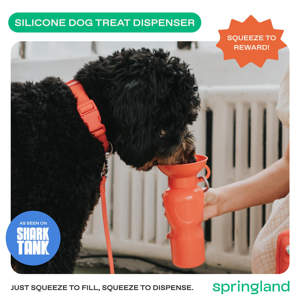 Springer bouteille chien sans fuite, idéale pour trajets en voiture