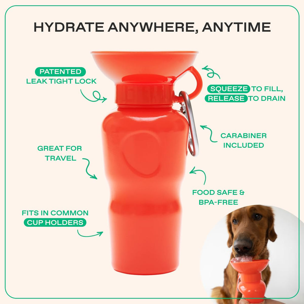 Springer bouteille chien à une main, usage simple en balade