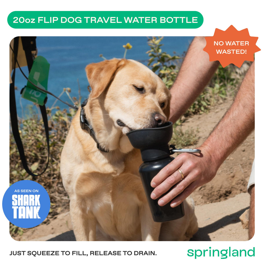 Springer, capacité de 20 onces offrant une hydratation durable en sortie.