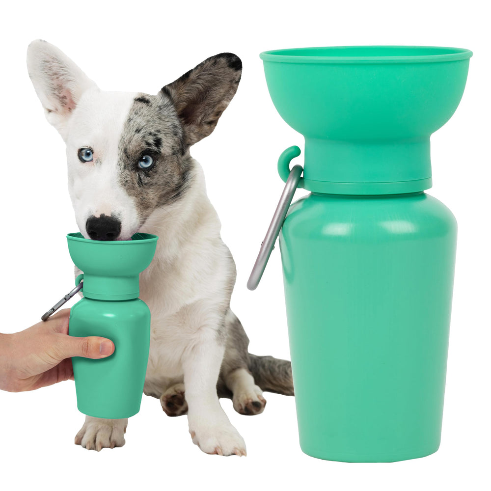 Springer Flip: gourde d'eau pour chien 20oz ouverte, Hydratation rapide lors des promenades.