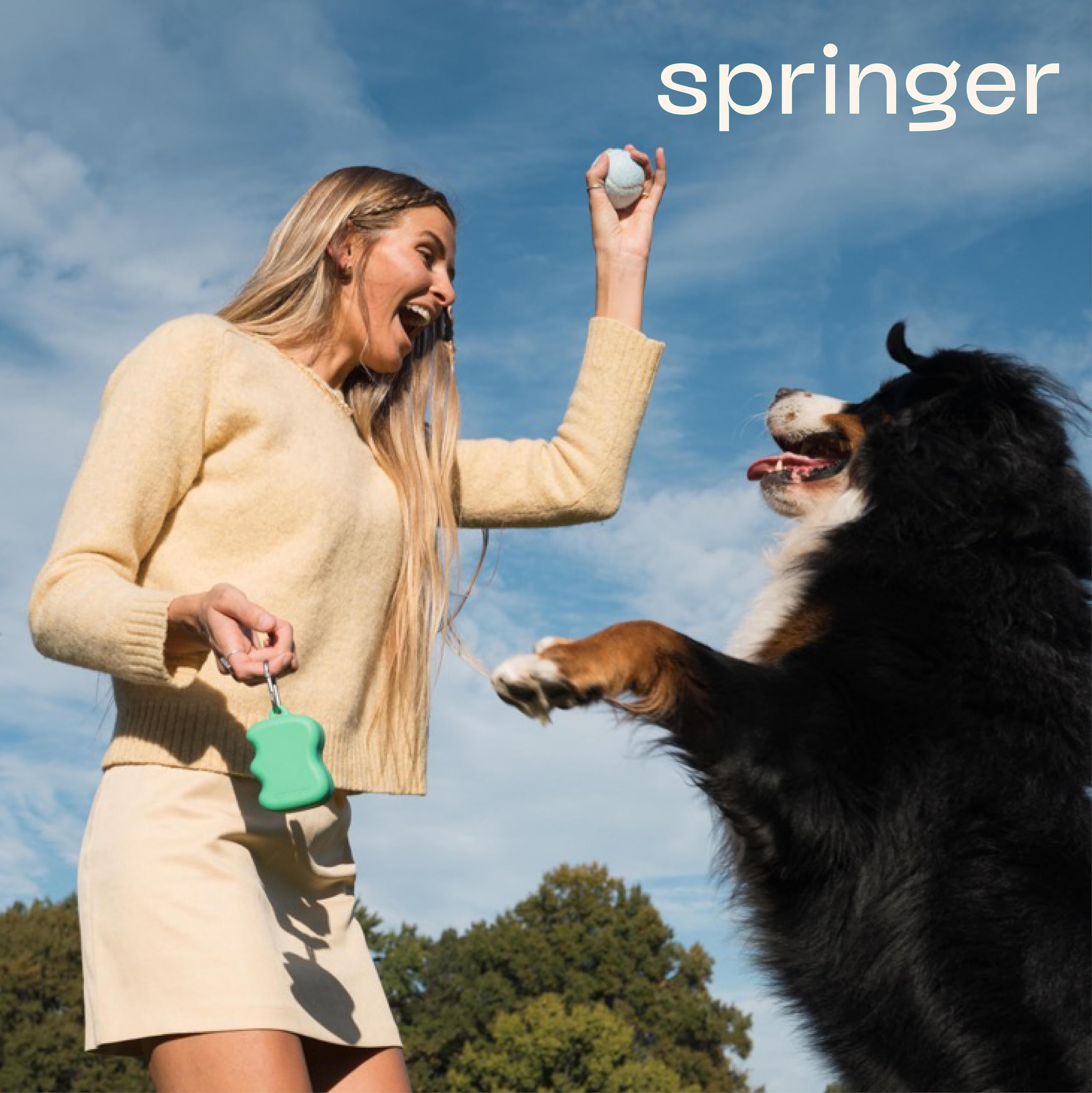 Springer Promenade Éducative: récompenses à portée de main en balade.