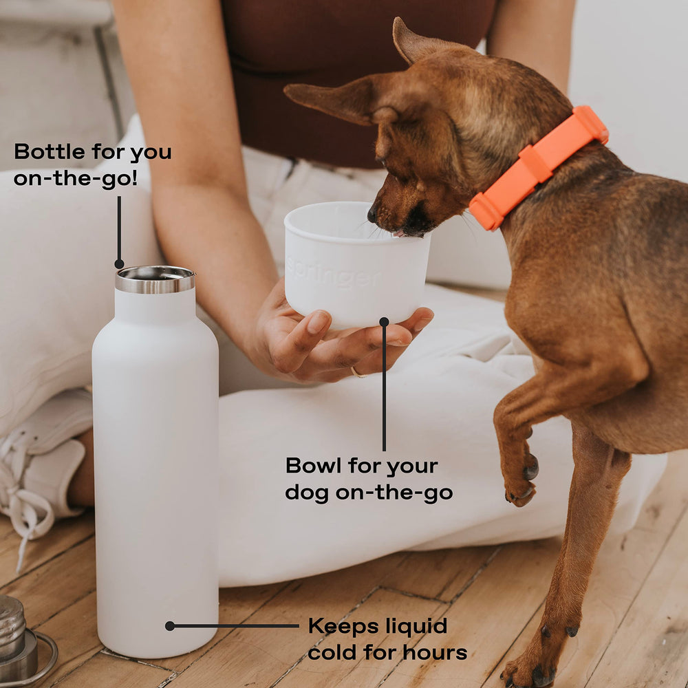 Springer : utilisation en extérieur, parfait pour randonnées et camping.