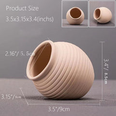 SpringSmart cachette en céramique pour Betta, refuge sûr