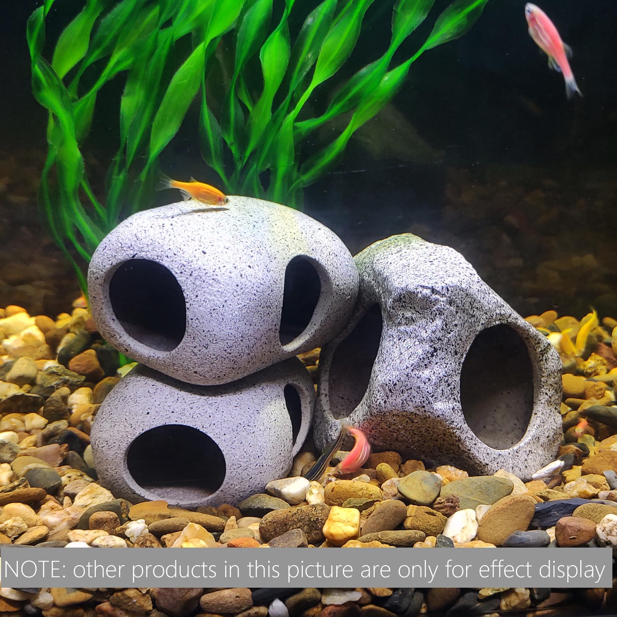 SpringSmart cadeau-decoration-aquarium : idée cadeau chic pour passionnés d'aquariums.