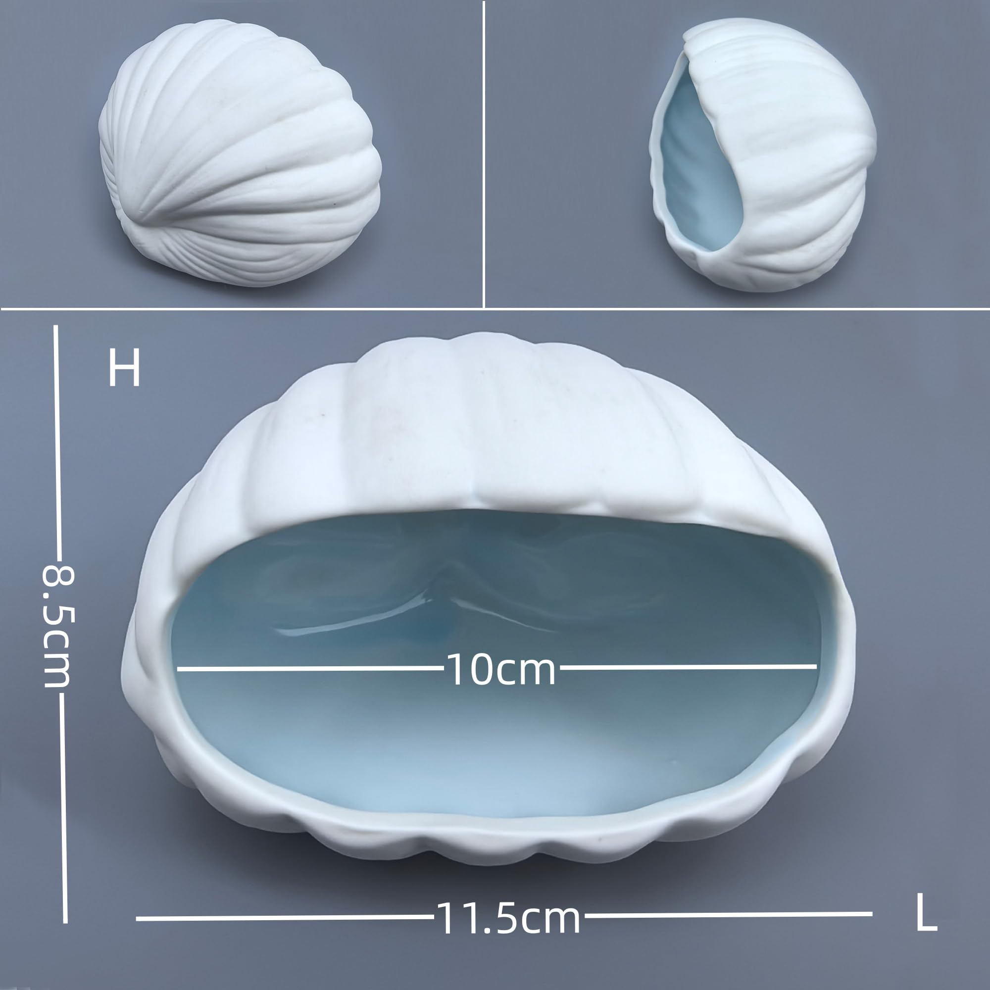 SpringSmart ensemble-deco-oceanique: décor polyvalent pour paysage sous-marin.