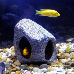 SpringSmart grotte-ceramique-aquarium : cachette durable et sans danger pour les poissons.