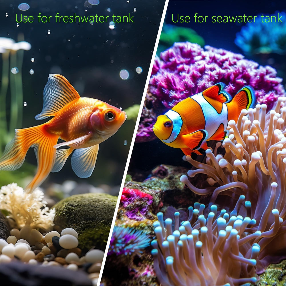 SpringSmart nettoyage-simple-aquarium : nettoyage rapide et hygiène améliorée.