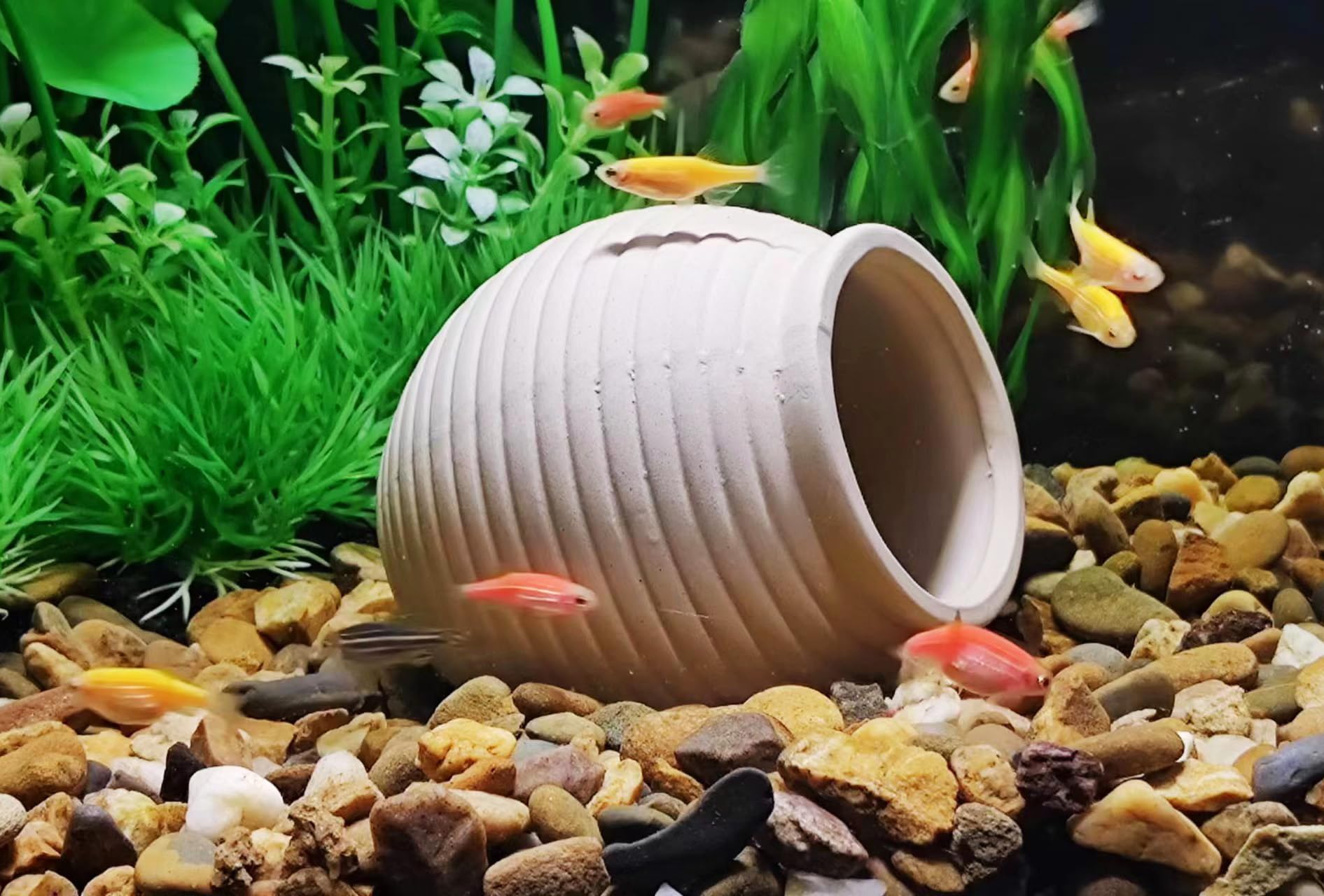 SpringSmart plante plastique pour aquarium, ajoute couleur et abri