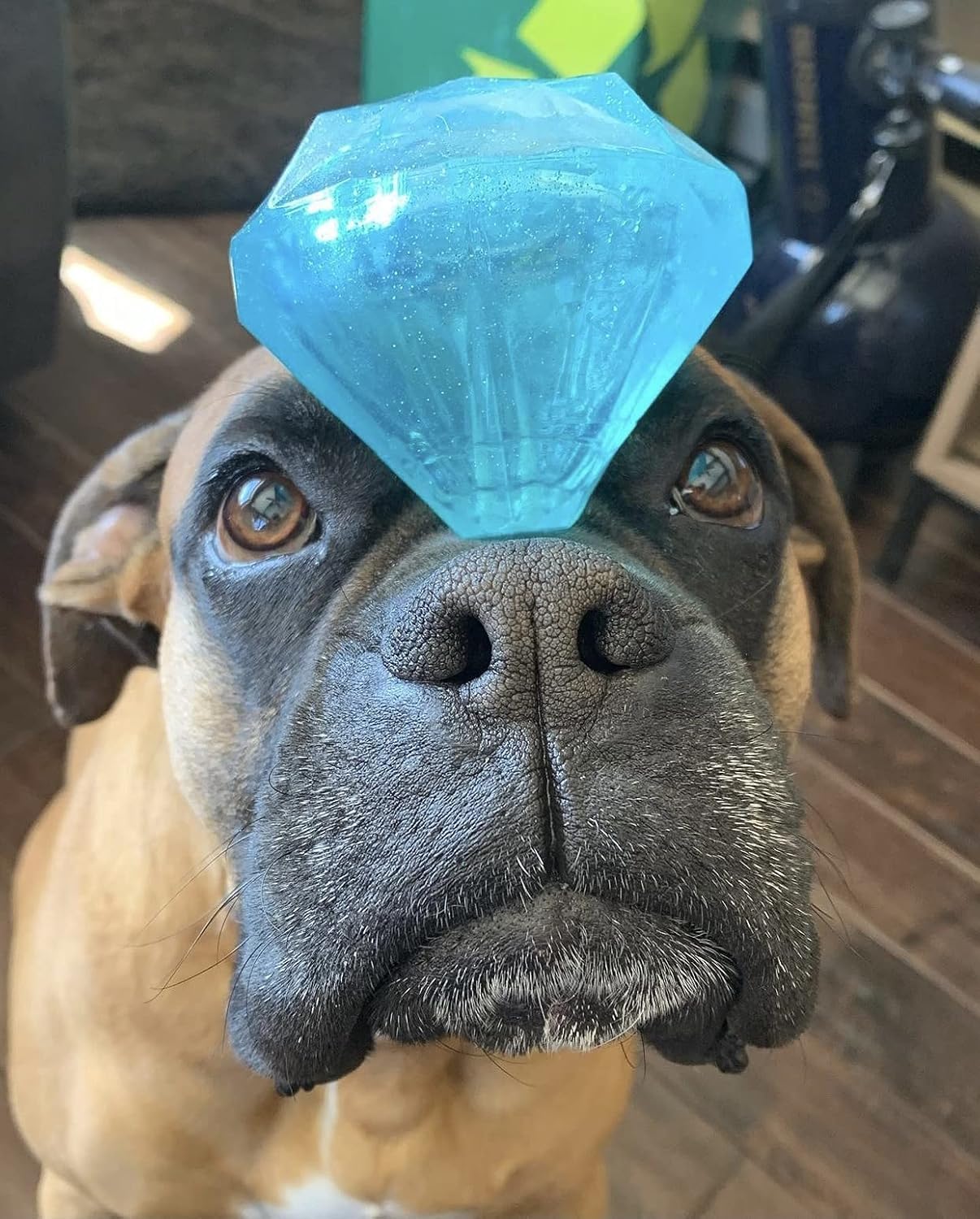 Diamant Siffleur flottant par Spunky Pup, idéal pour jeux dans l’eau.