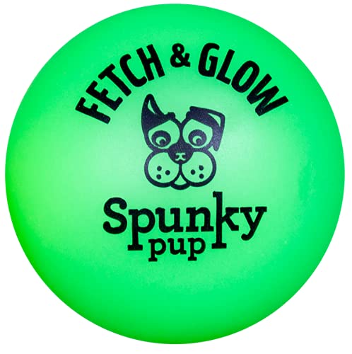 Spunky Pup Fetch et Glow Ball grande, couleurs variées, utile pour récupérer lors des sorties en plein air