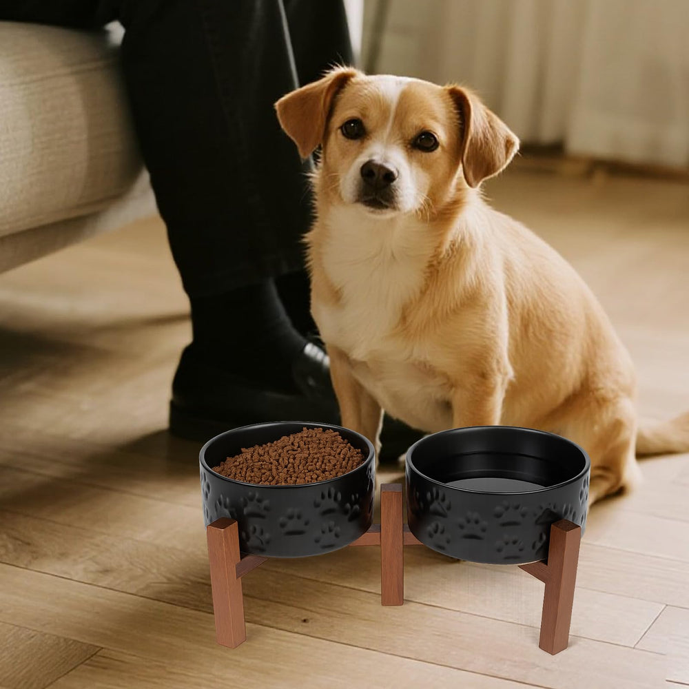 SPUNKYJUNKY ensemble bol et support, design élégant pour cuisine.