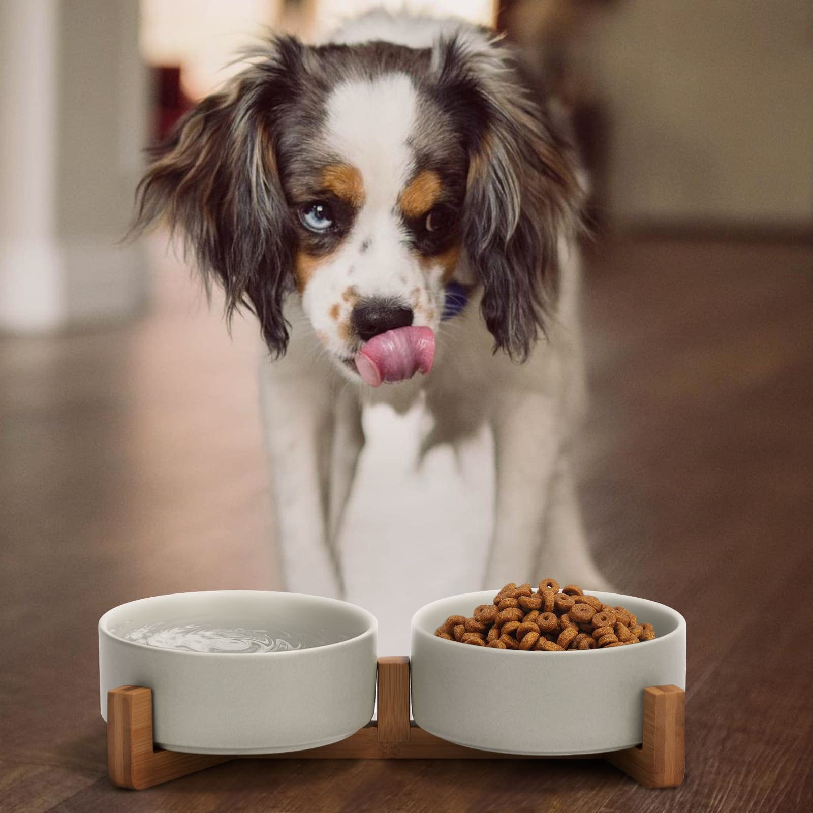SPUNKYJUNKY double bol pratique pour nourriture et eau.