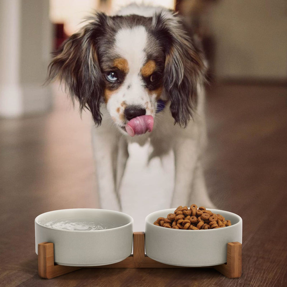 SPUNKYJUNKY double bol pratique pour nourriture et eau.